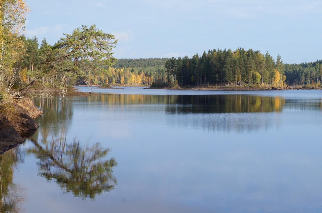 Savolax Stugor Axland Pokoj fotografie