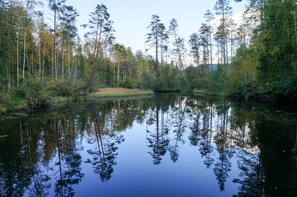 Savolax Stugor Axland Pokoj fotografie